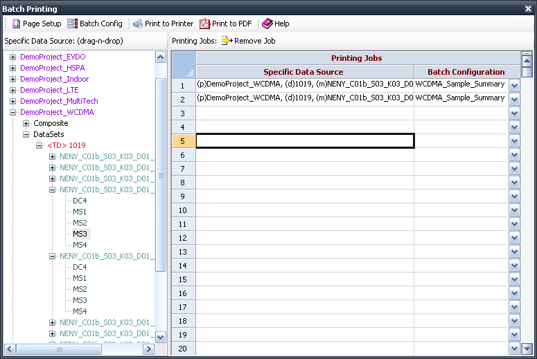 C:\Users\USDIJA\Documents\backup\TEMS Discovery\TD DocToHelp Projects\MASTER IPP Collection with PNGs\form_batch_printing.png